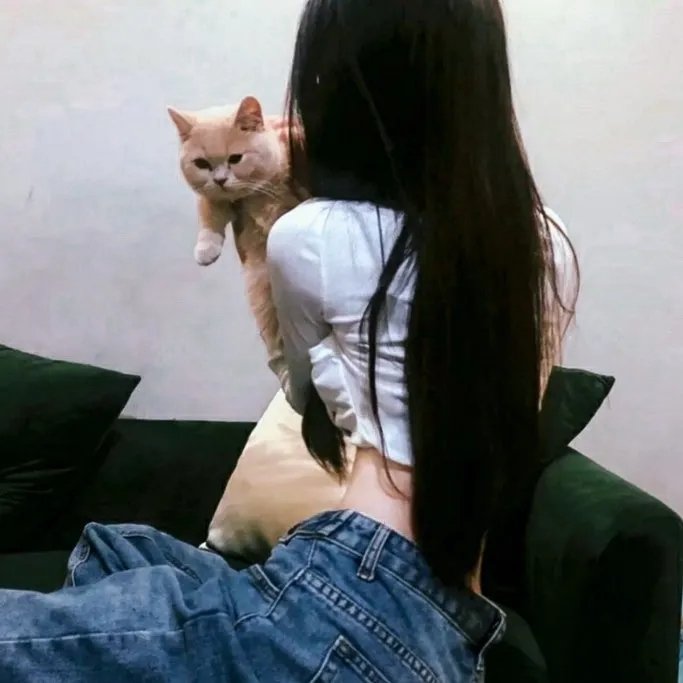 最后的夫人